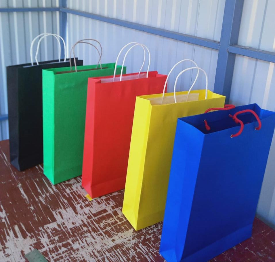 DISHA PAPER BAG MANUFACTURING PVT LTD